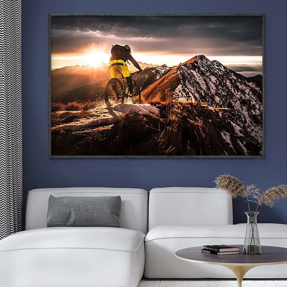 SP080 Silk Cloth Wall Poster M - Mountain Biking Movies 评论和价格
